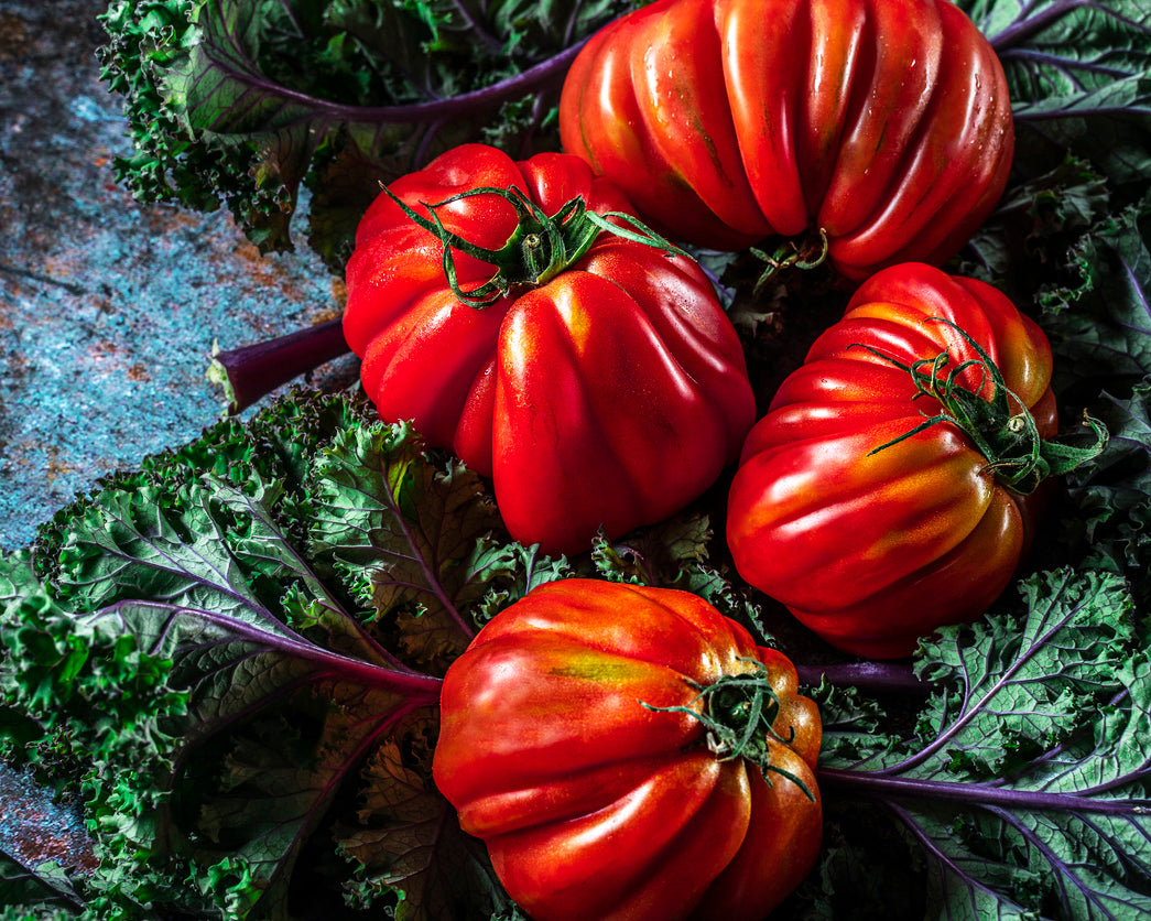 Tomato: Canestrino Della Garfagnana