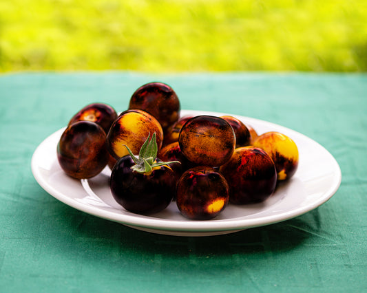 Tomato: Wooly Kate Yellow