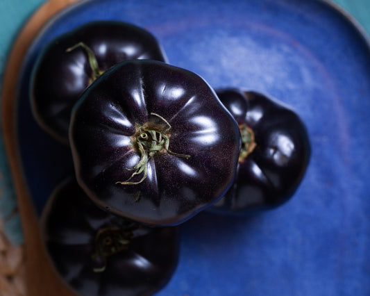 Tomato: Black Beauty