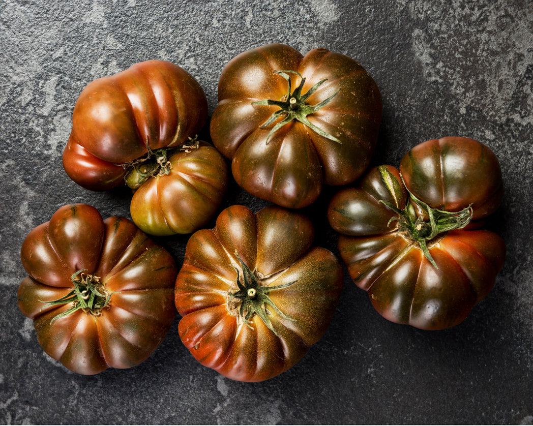 Tomato: Black Krim