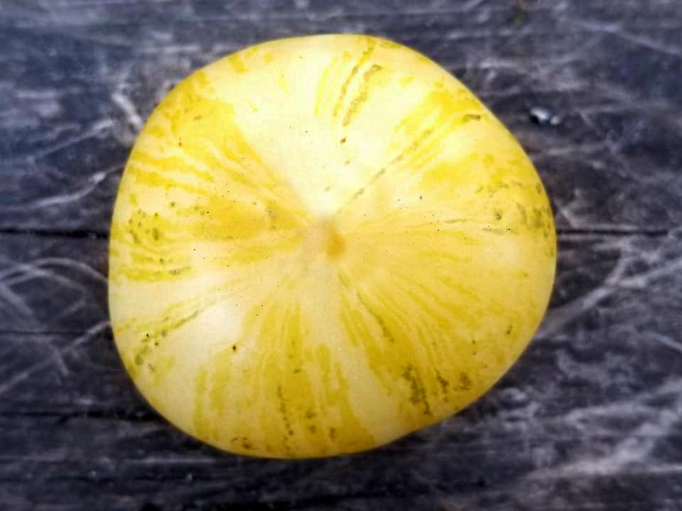 Tomato: Blonde Boar