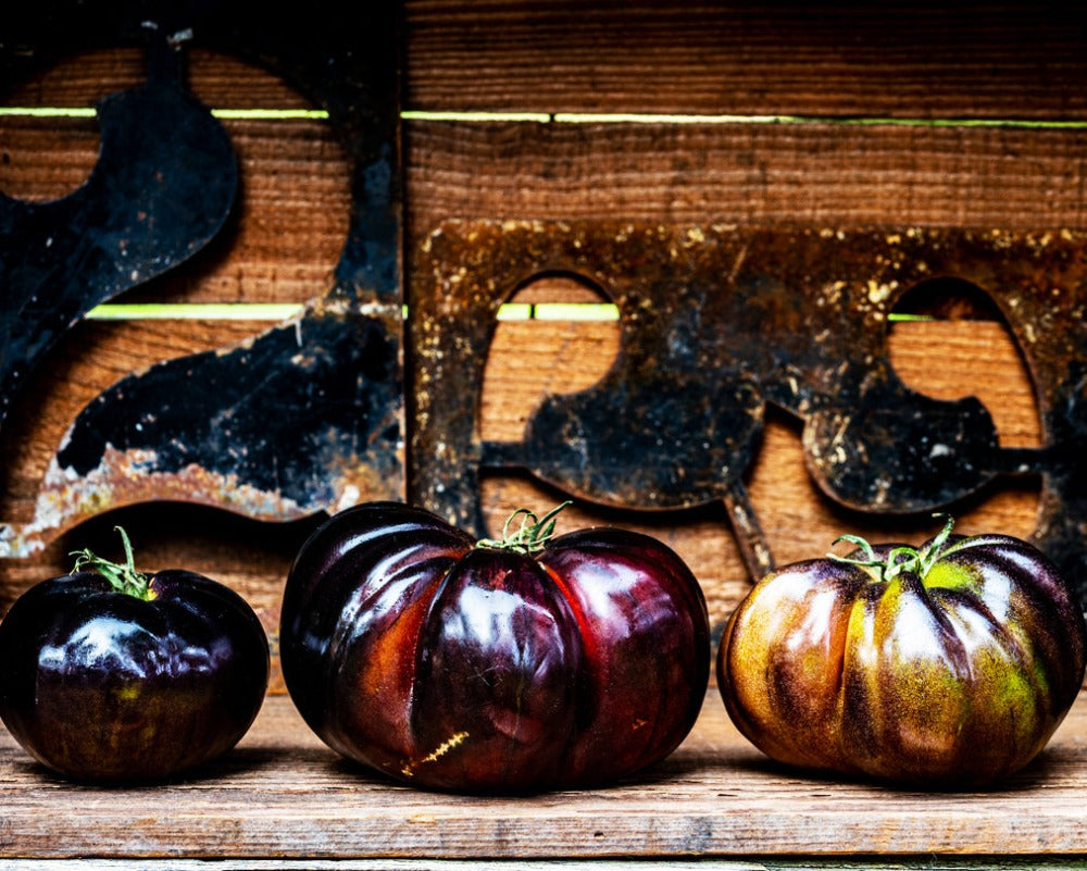 Tomato: Blue Beauty
