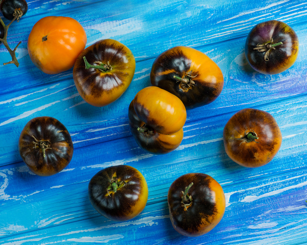 Tomato: Blue Clementine