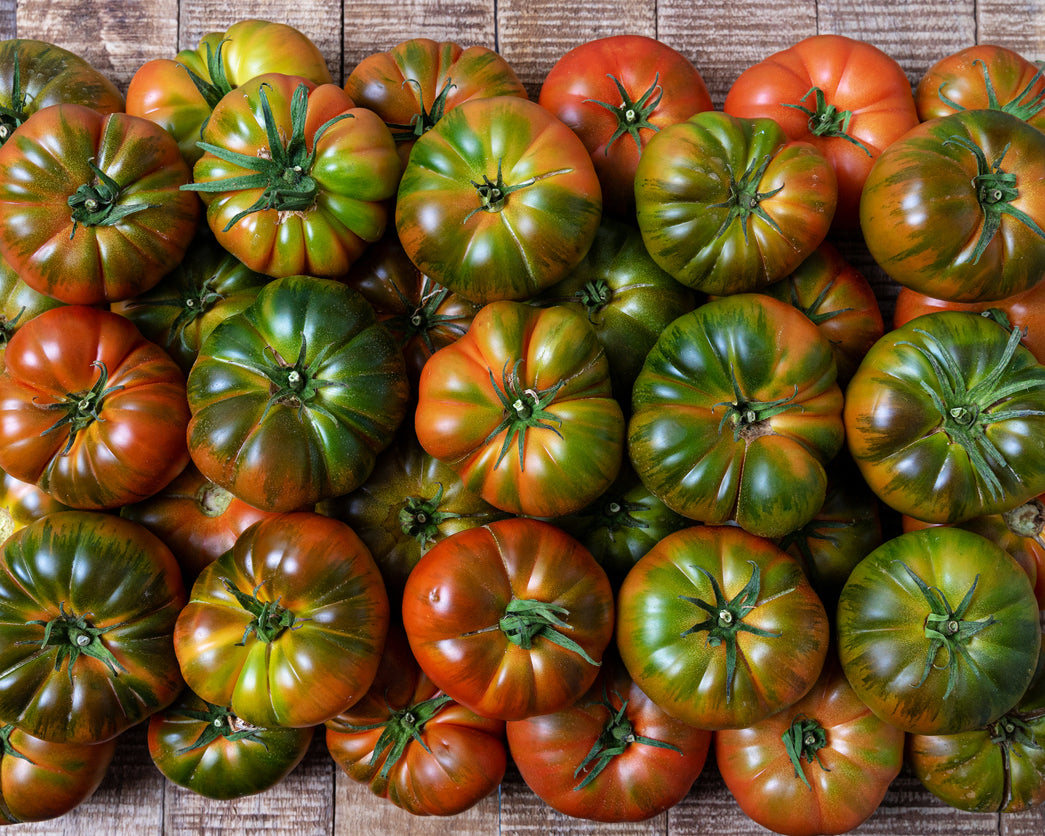 Tomato: Cherokee Green