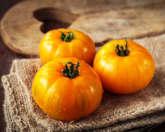 Tomato: Cherokee Tiger Orange Dwarf