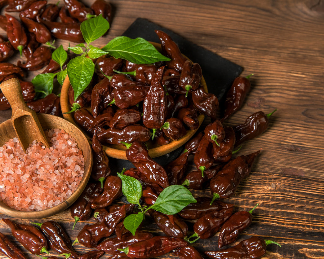 Pepper, Hot: Habanero- Chocolate