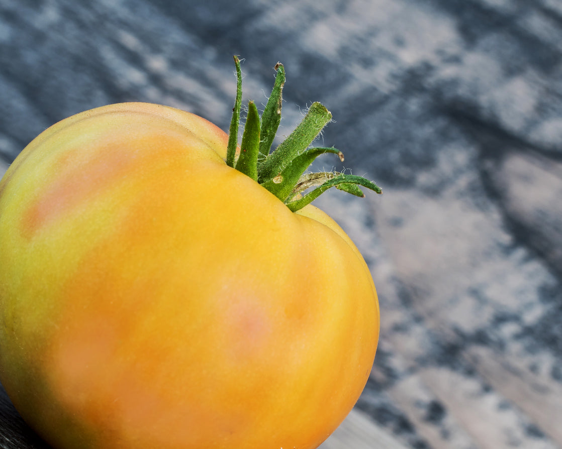 Tomato: Garden Peach