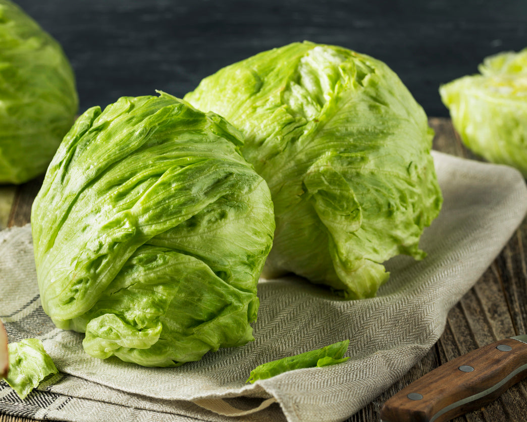 Lettuce: Great Lakes 118 *Overstock*