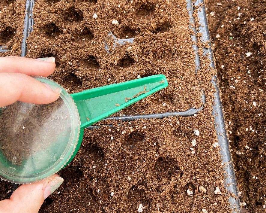 Handheld Dial Seeder