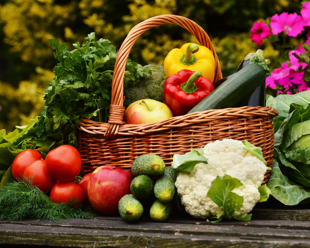 Kit: Deluxe Garden Seed Starter