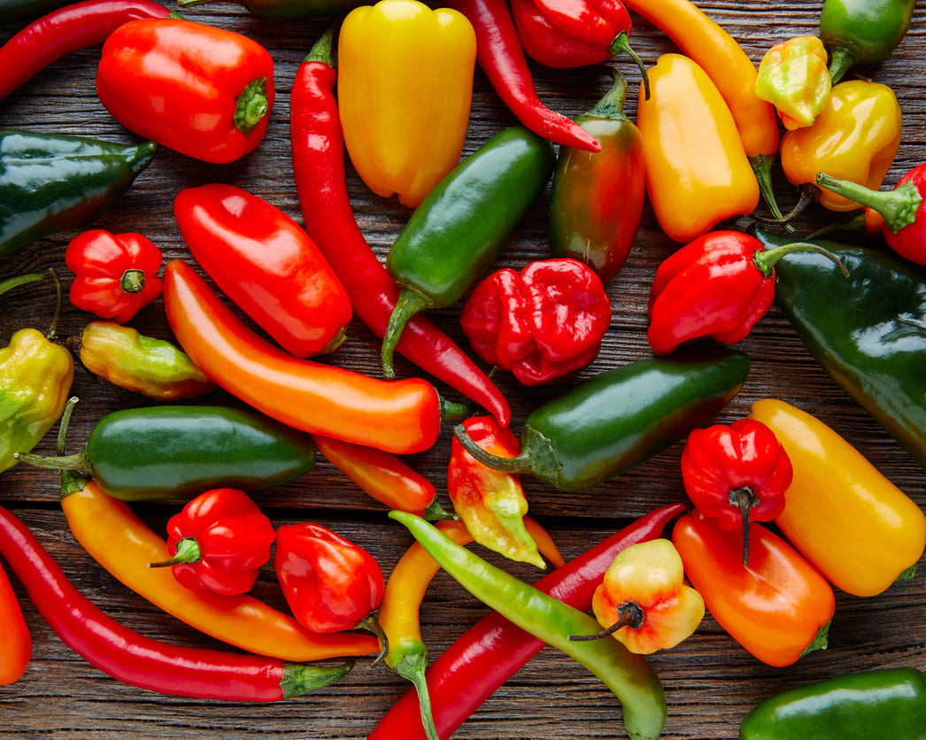 Kit: Pepper All Star Seed Starter