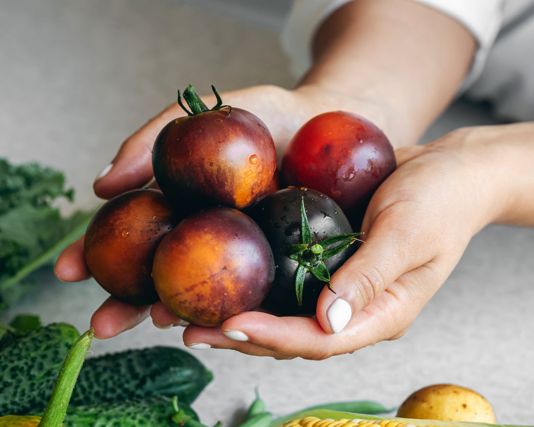 Tomato: Indigo Apple