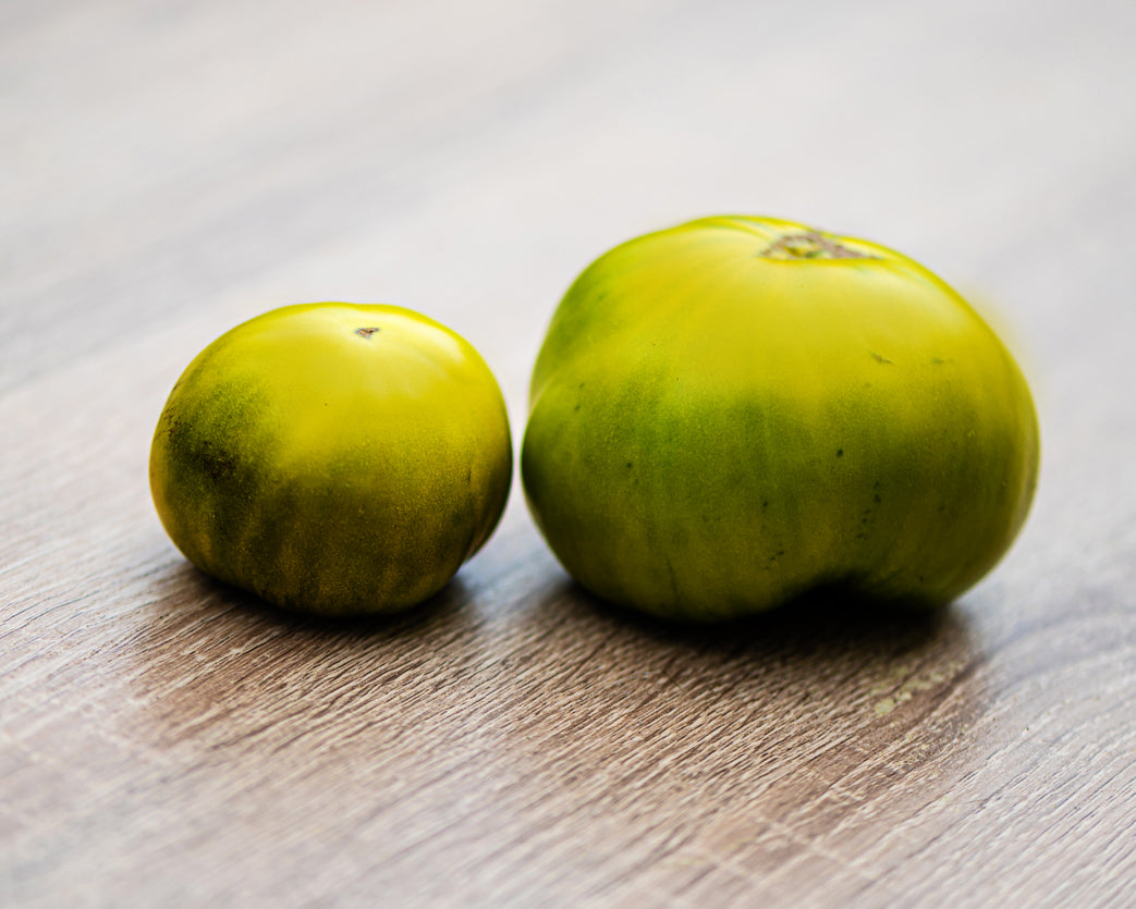 Tomato: Muddy Waters