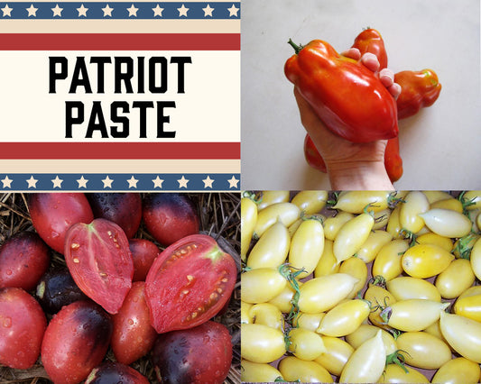 Tomato: Patriot Paste Mix