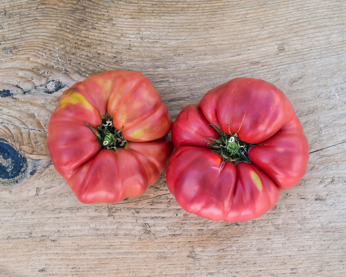 Tomato: Pink Beefsteak