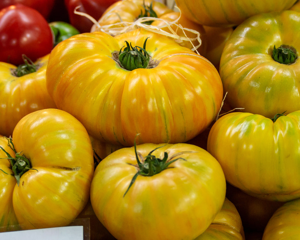 Tomato: Pork Chop