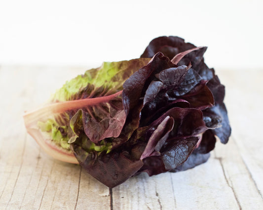 Lettuce: Red Romaine
