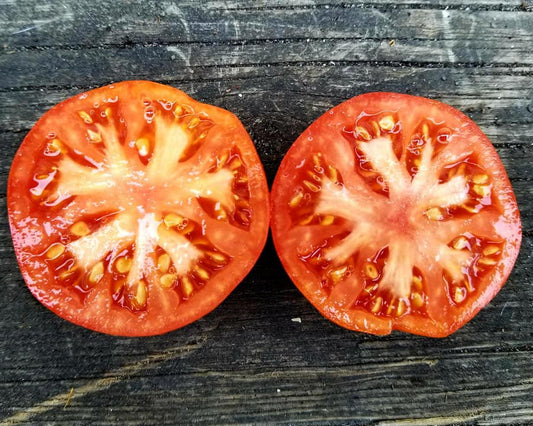 Tomato: Solar Flare