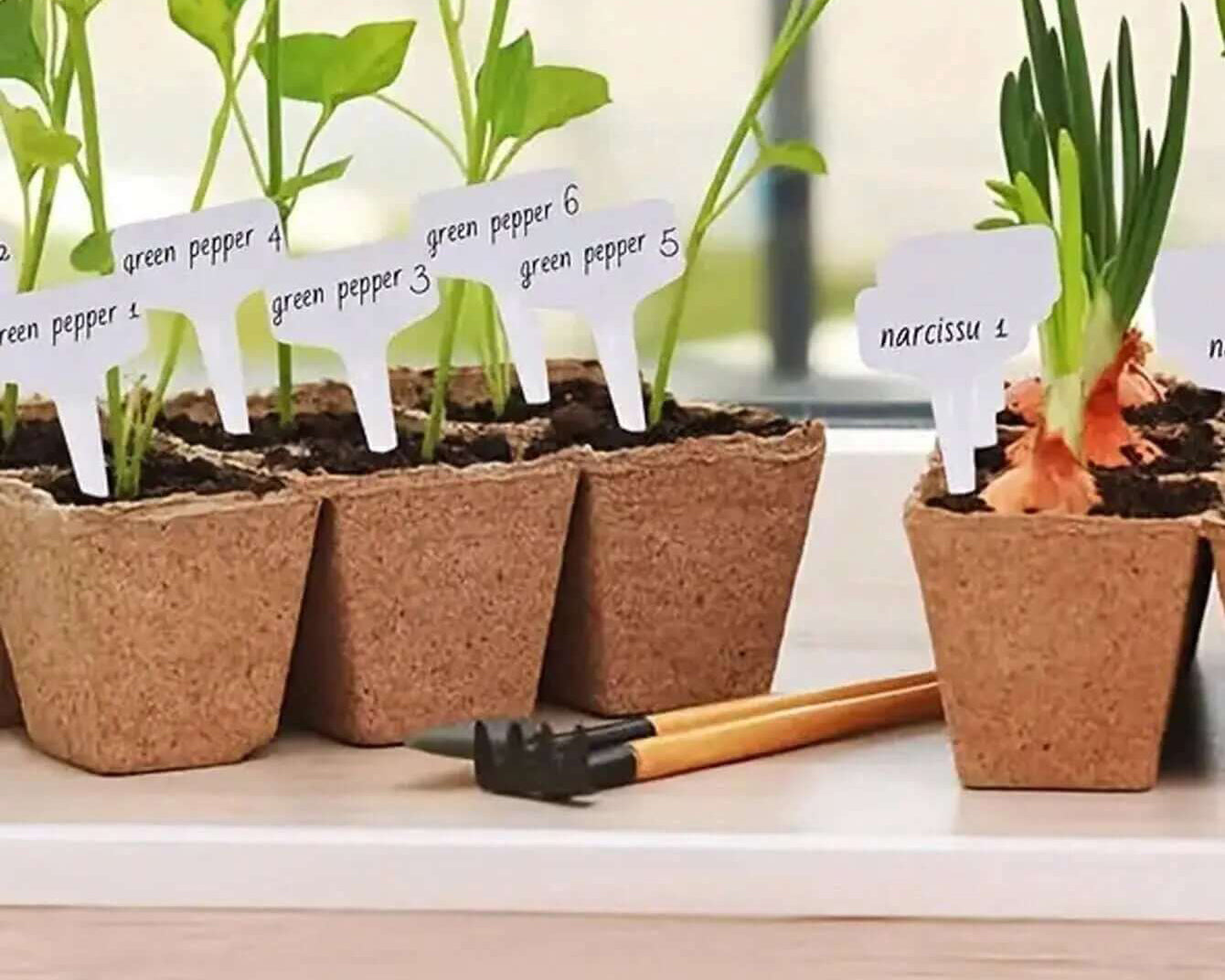 Labels: T Stake 10-pack