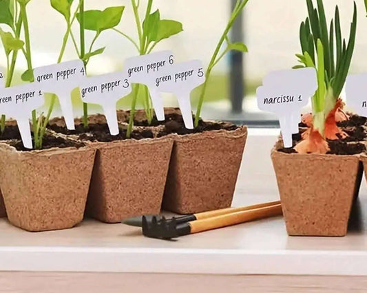 Labels: T Stake 25-pack