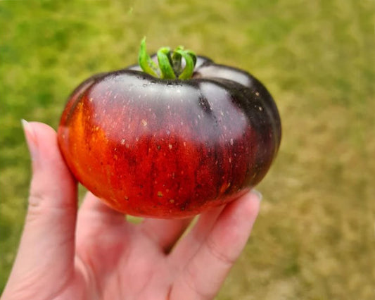 Tomato: Three Musketeers