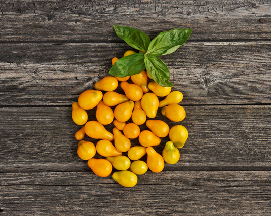 Tomato: Yellow Pear *Overstock*