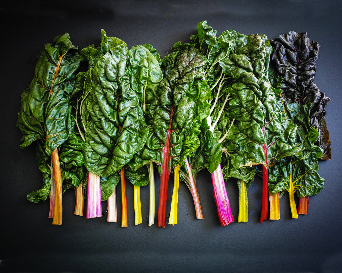 Swiss Chard: Bright Lights *Overstock*