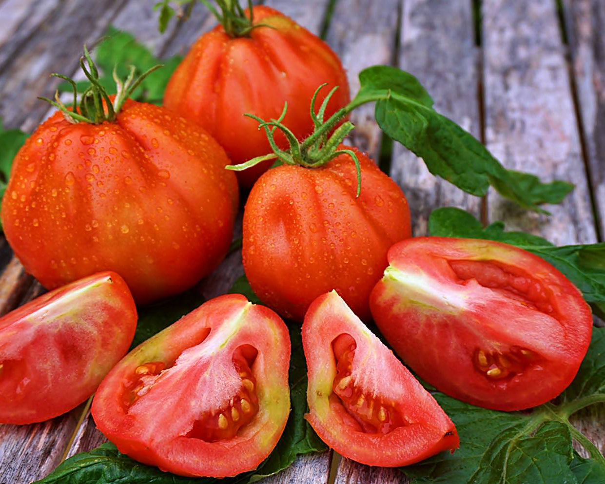 Tomato: Canestrino Della Garfagnana