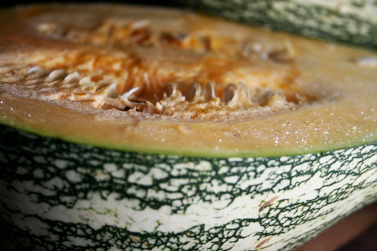 Winter Squash: Cushaw Green Striped *Overstock*