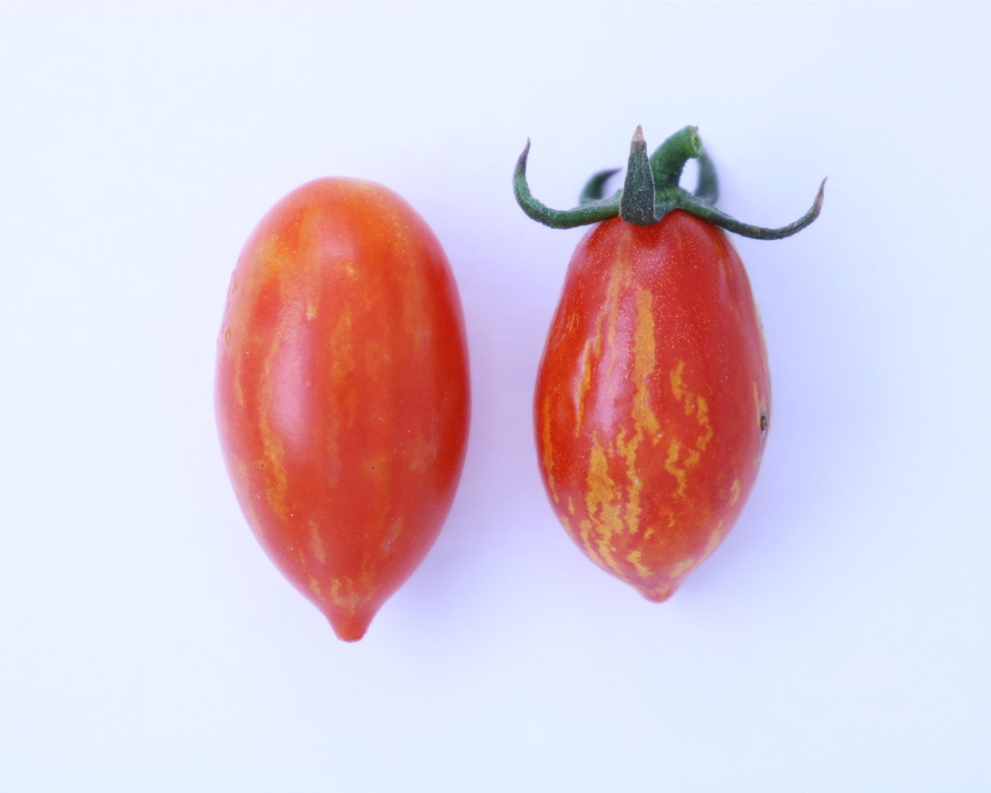 Tomato: Matt's Hornet