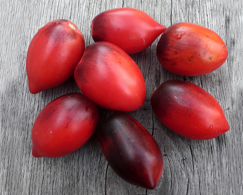 Tomato: Pascal de Picardie
