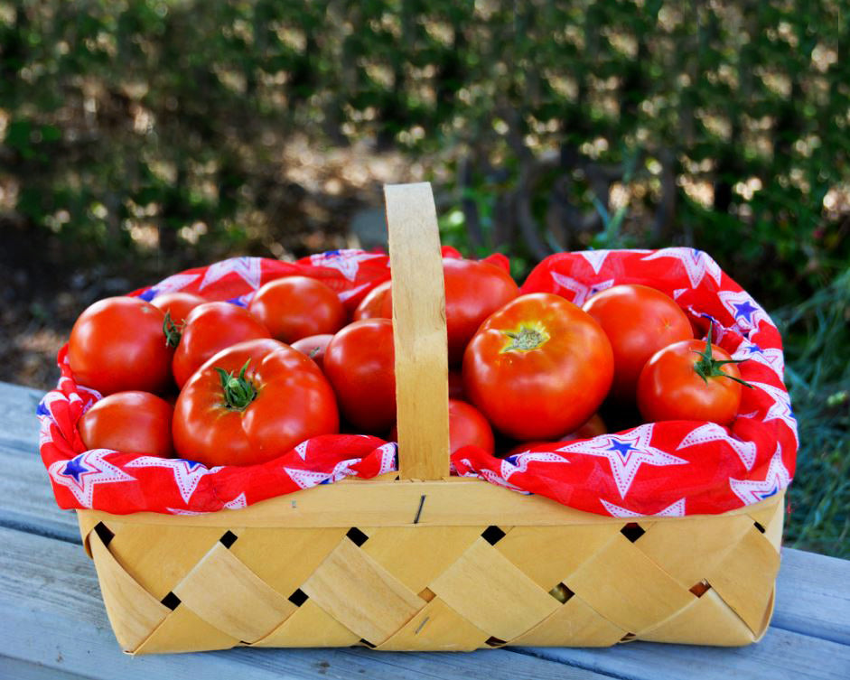Tomato: Ace 55 *Overstock*