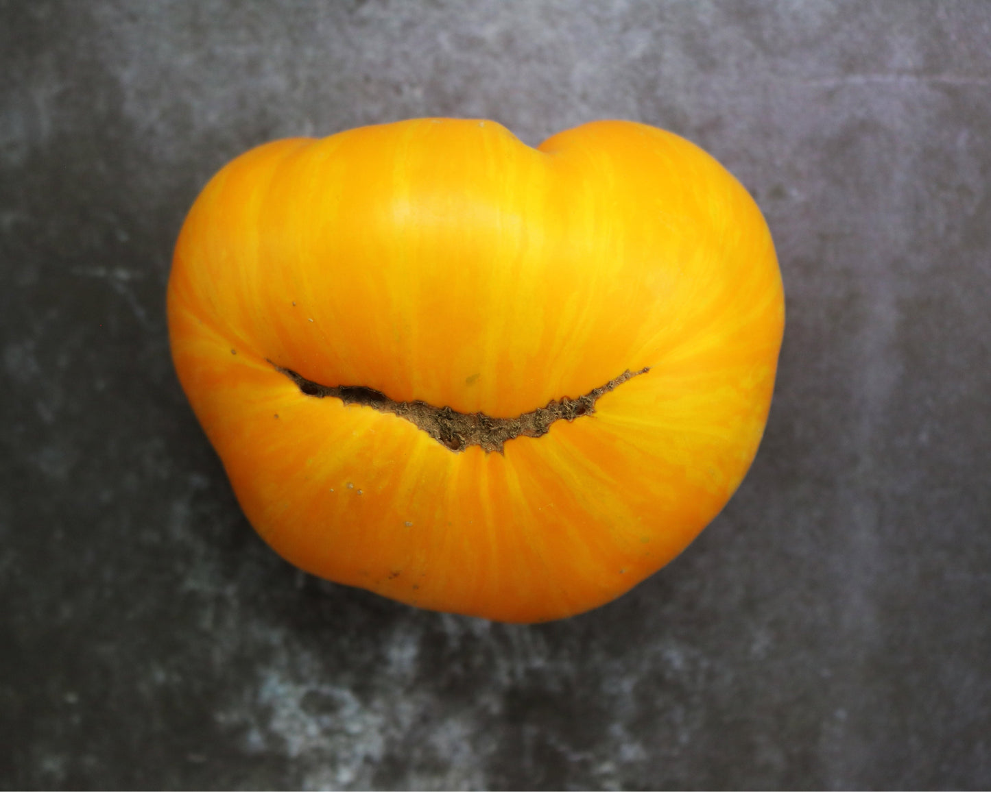 Tomato: Big Yellow Zebra
