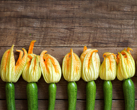 Squash, Summer: Black Beauty
