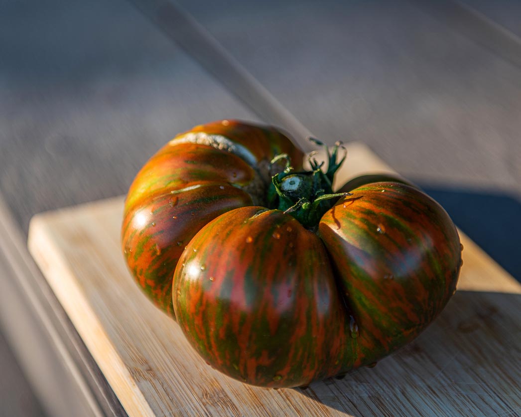 Tomato: Black Zebra