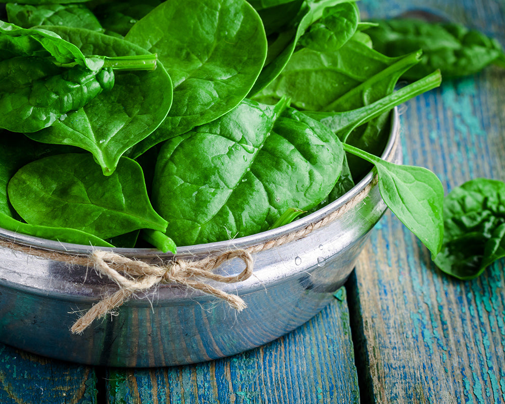 Spinach: Bloomsdale Long Standing *Overstock*