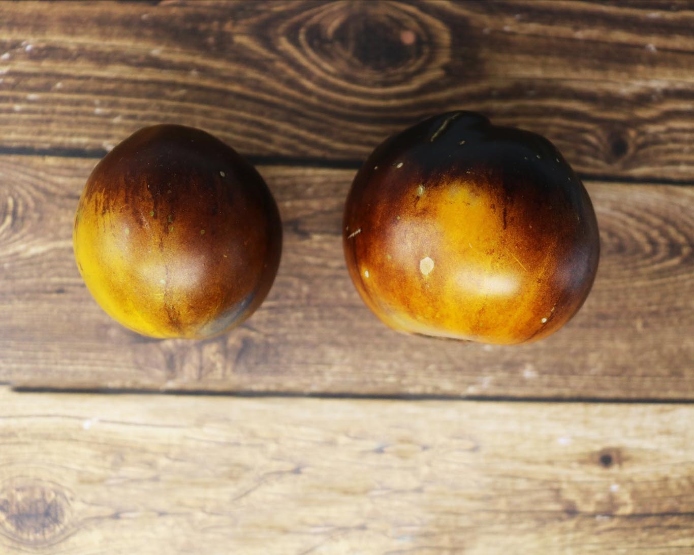 Tomato: Blue Jollies