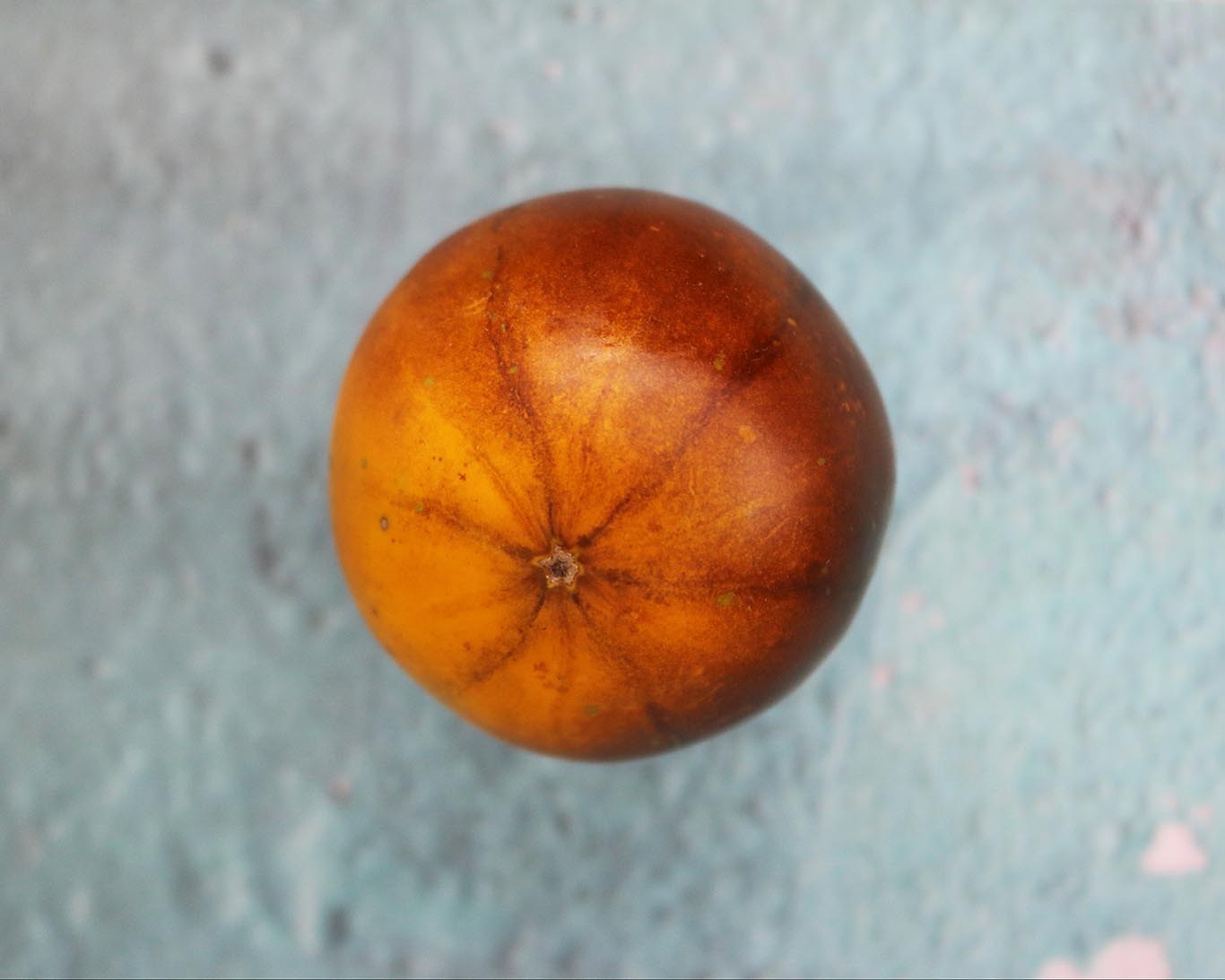 Tomato: Blue Jollies
