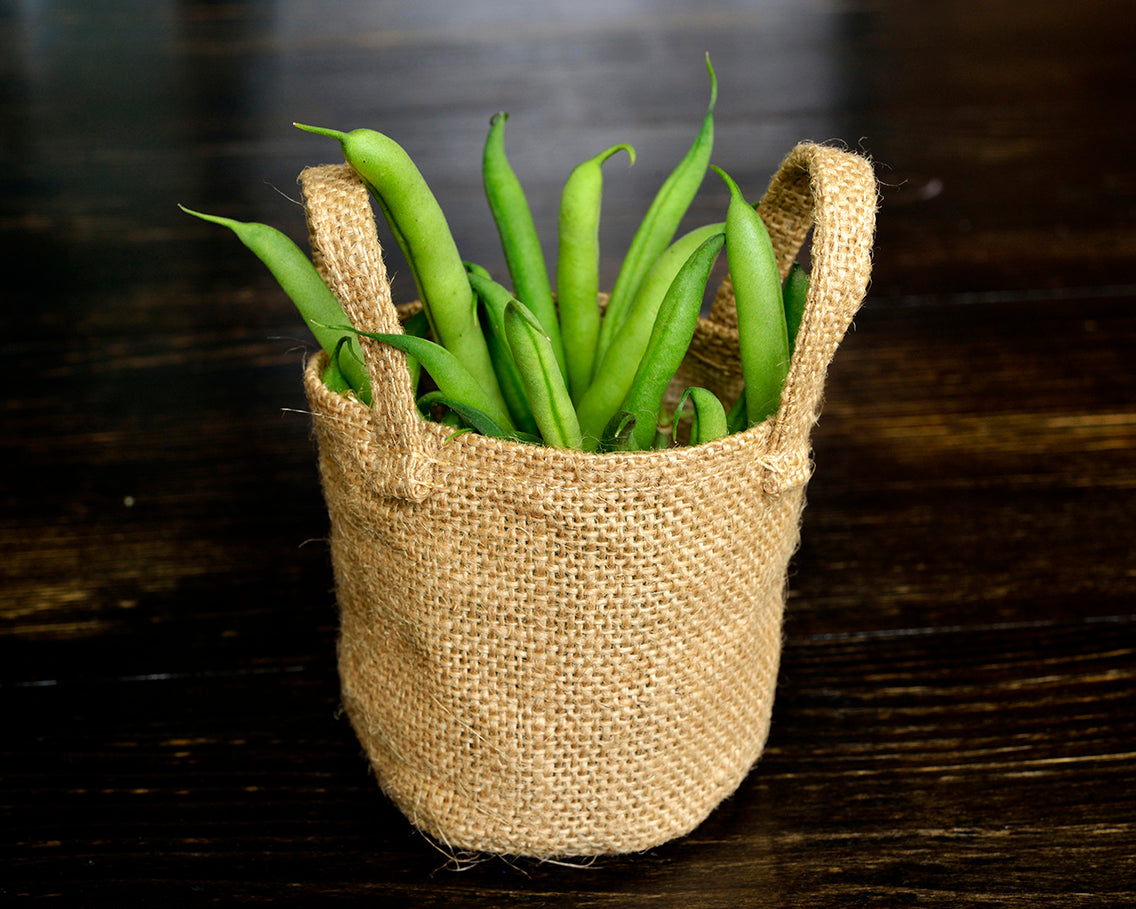 Bean, Bush: Contender