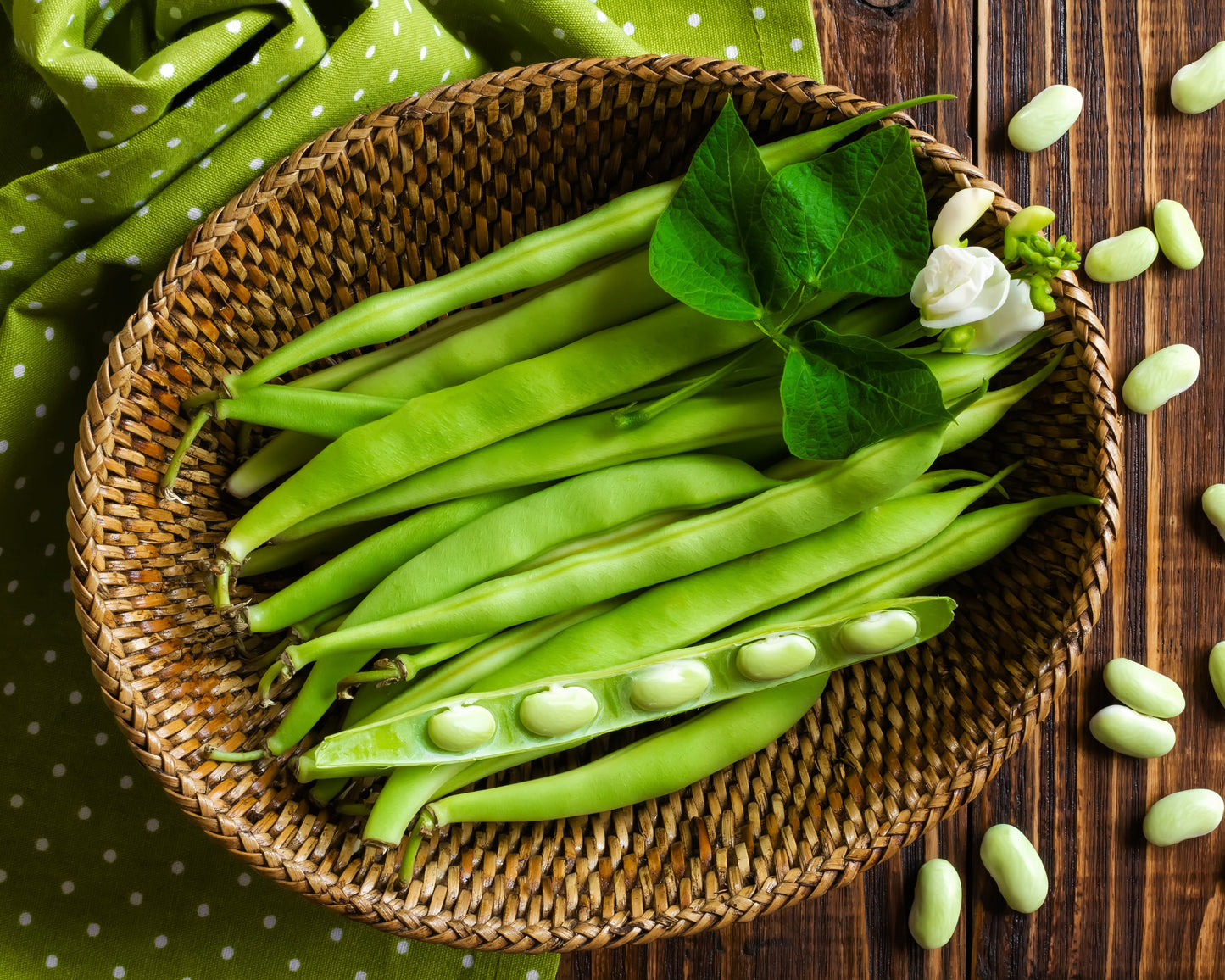 Bean, Bush: Contender