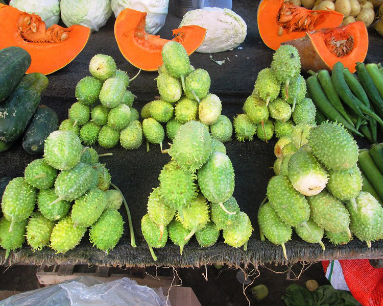 Cucumber: West Indian Burr Gherkin *Overstock*