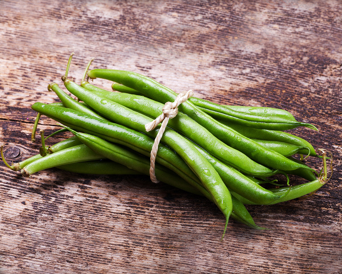 Bean, Bush: Tendergreen
