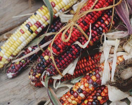 Corn: Carousel *Discontinue*