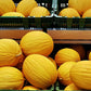 Melon: Golden Beauty Casaba