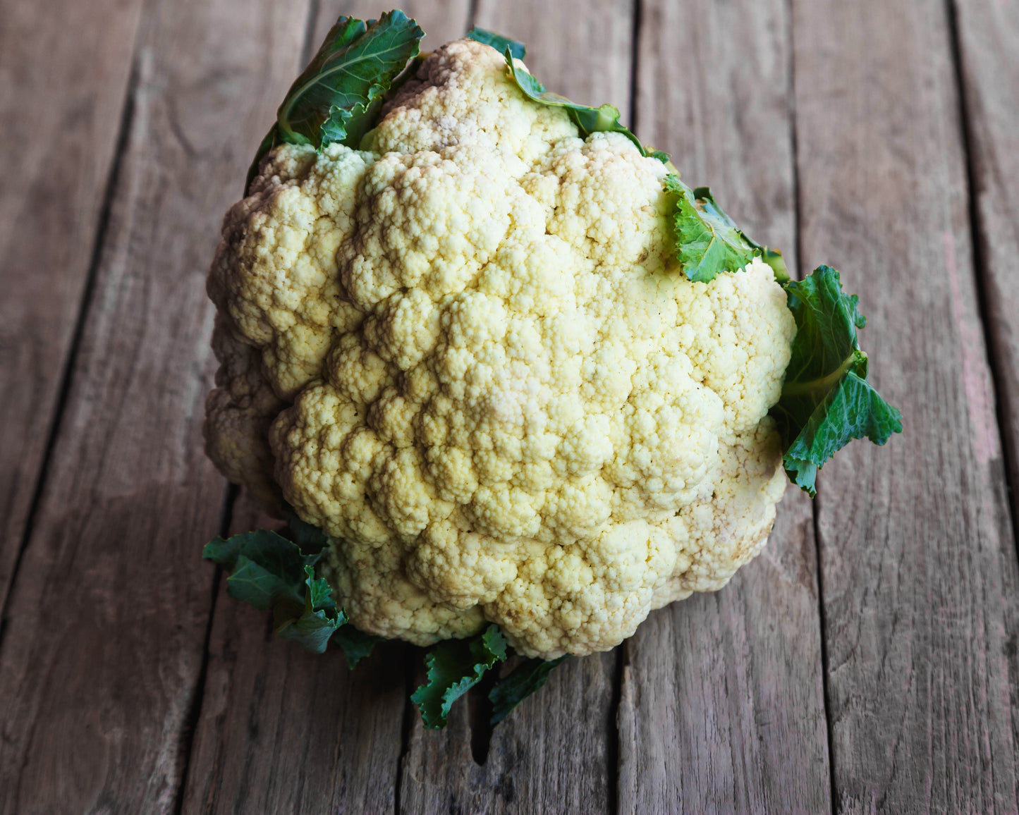 Cauliflower: Snowball *Overstock*