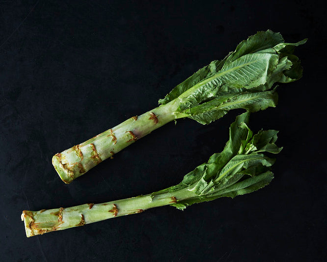 Celtuce: Spring Tower *Discontinue*