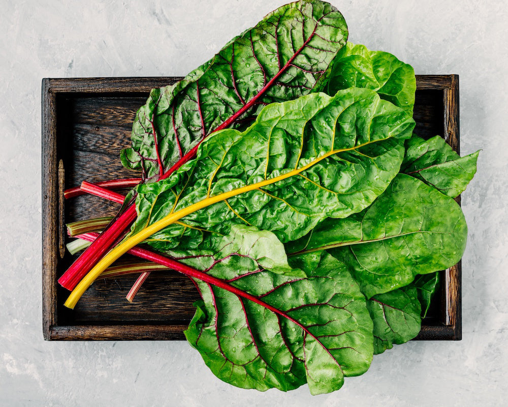 Swiss Chard: Bright Lights *Overstock*