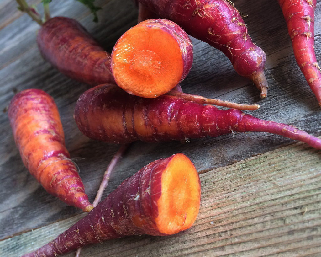 Carrot: Cosmic Purple