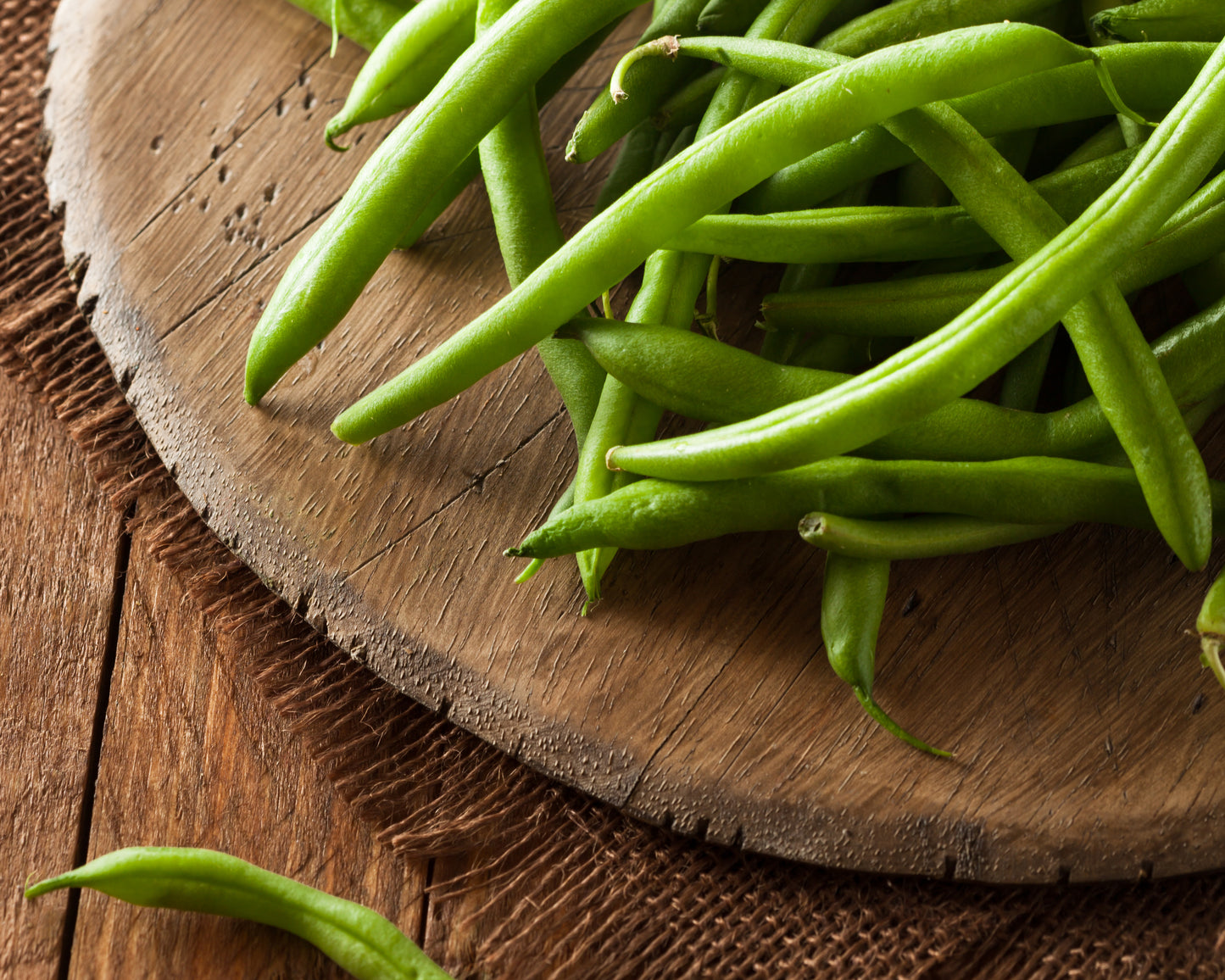 Bean, Bush: Tendergreen