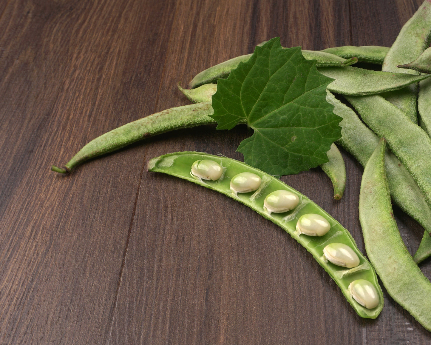 Bean, Lima: Fordhook